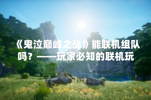 《鬼泣巅峰之战》能联机组队吗？——玩家必知的联机玩法