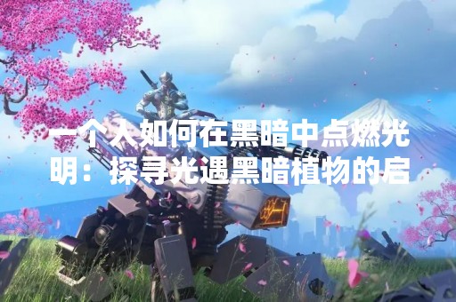 一个人如何在黑暗中点燃光明：探寻光遇黑暗植物的启示