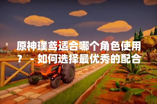原神璞鸢适合哪个角色使用？ - 如何选择最优秀的配合方式