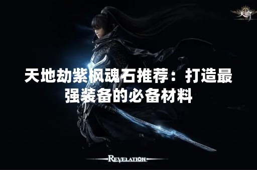 天地劫紫枫魂石推荐：打造最强装备的必备材料