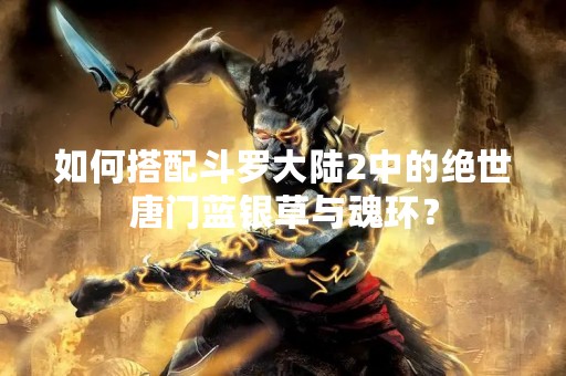 如何搭配斗罗大陆2中的绝世唐门蓝银草与魂环？