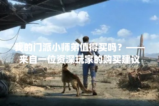 我的门派小师弟值得买吗？——来自一位资深玩家的购买建议