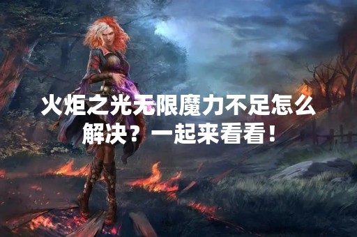 火炬之光无限魔力不足怎么解决？一起来看看！