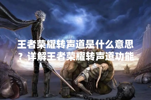 王者荣耀转声道是什么意思？详解王者荣耀转声道功能