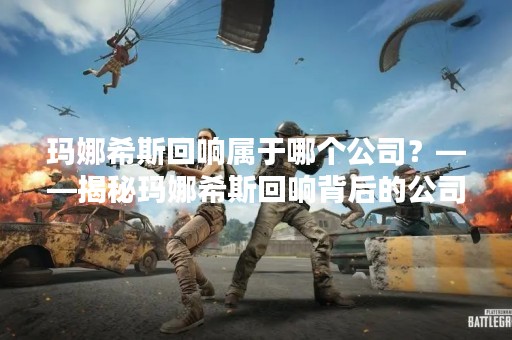 玛娜希斯回响属于哪个公司？——揭秘玛娜希斯回响背后的公司