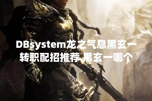 DBsystem龙之气息黑玄一转职配招推荐 黑玄一哪个区好