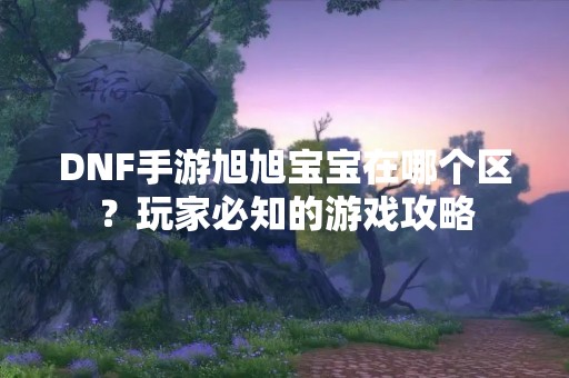 DNF手游旭旭宝宝在哪个区？玩家必知的游戏攻略